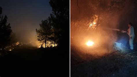 İzmir’de çıkan orman yangınına müdahale sürüyor